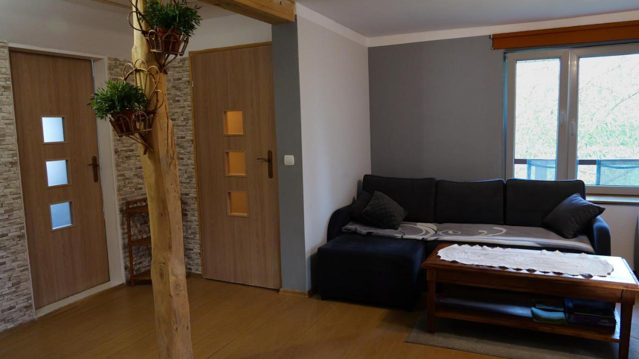 Apartamenty Lucky-Ski Ustrzyki Dolne Exterior foto